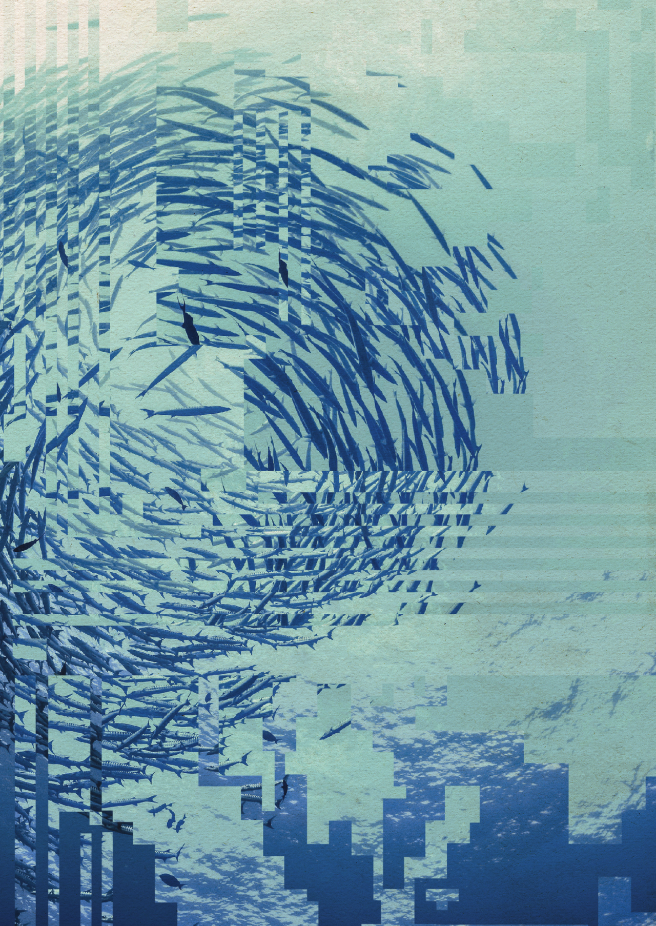 fish-school